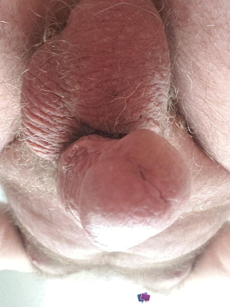 6356fd7406183