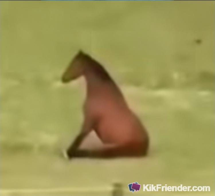 6c0a10c0-b7f2-11f1-95c4-818dc8c036f7