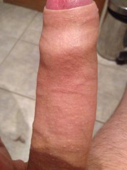 8.3inch