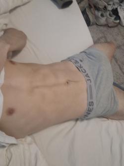 photo de younghungbreedbull
