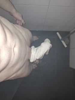 youngbreedbull