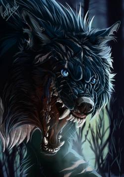 wolfjet6