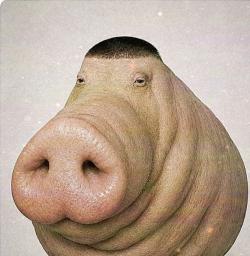foto de salssa9