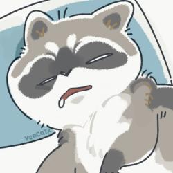 raccoonlovr picture