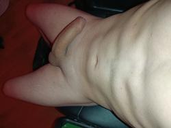 dan04567.