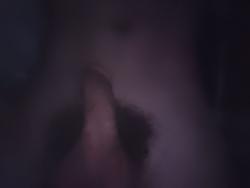 shanlongcane picture