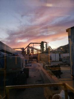 brosn17 picture