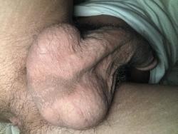 carsonswall